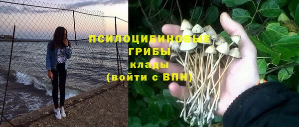герыч Новоузенск