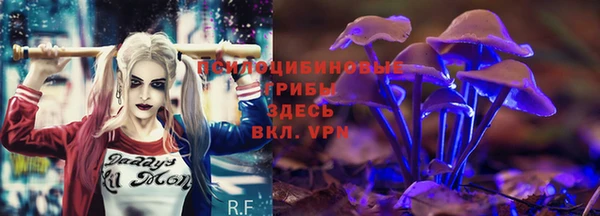 стаф Слюдянка